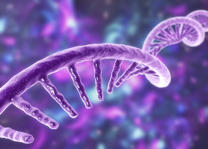 아주대·가톨릭대 연구팀, mRNA 백신·치료제 효용 높일 新 분석 기술 개발